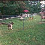 1003 Residential Galvanized Chain Link