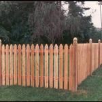 209 Tall Dog-eared Cedar Picket with 4x4 Posts